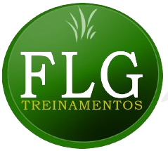 Logo FLG TREINAMENTOS E CONSULTORIA