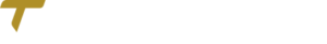 Logo Transpanorama Paracatu - MG