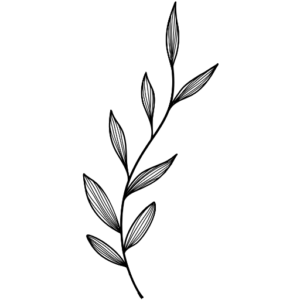 Logo Studio Karoline Alves